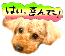 Dog Talk!!with friends, Photos,Japanese sticker #14254386