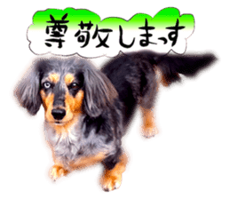 Dog Talk!!with friends, Photos,Japanese sticker #14254391