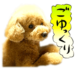 Dog Talk!!with friends, Photos,Japanese sticker #14254392