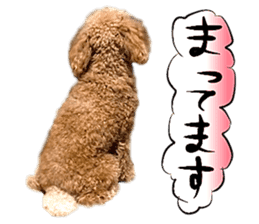 Dog Talk!!with friends, Photos,Japanese sticker #14254393