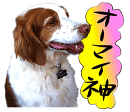 Dog Talk!!with friends, Photos,Japanese sticker #14254397