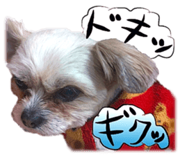 Dog Talk!!with friends, Photos,Japanese sticker #14254398