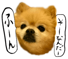 Dog Talk!!with friends, Photos,Japanese sticker #14254401