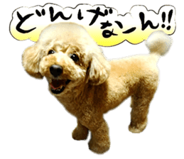 Dog Talk!!with friends, Photos,Japanese sticker #14254403