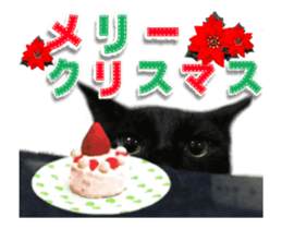 Cat of Roux.<New Years> sticker #14254464
