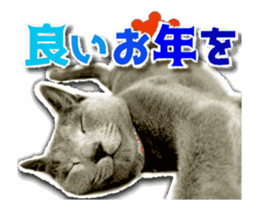 Cat of Roux.<New Years> sticker #14254466