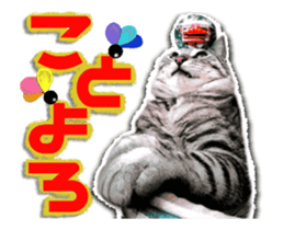 Cat of Roux.<New Years> sticker #14254469