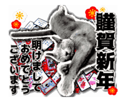 Cat of Roux.<New Years> sticker #14254470