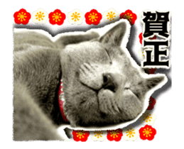 Cat of Roux.<New Years> sticker #14254471