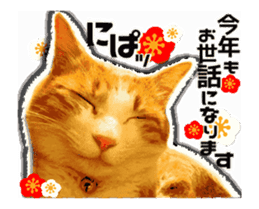 Cat of Roux.<New Years> sticker #14254472