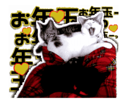 Cat of Roux.<New Years> sticker #14254473