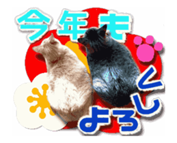 Cat of Roux.<New Years> sticker #14254474