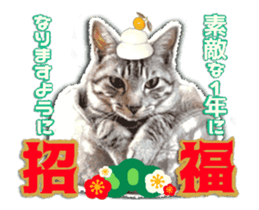 Cat of Roux.<New Years> sticker #14254475