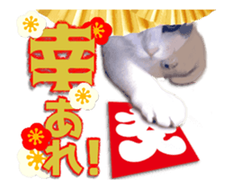 Cat of Roux.<New Years> sticker #14254476