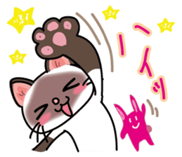Cute Siamese cat Sticker part2 sticker #14255047