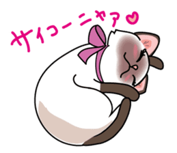Cute Siamese cat Sticker part2 sticker #14255066