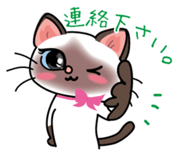 Cute Siamese cat Sticker part2 sticker #14255068