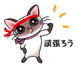 Cute Siamese cat Sticker part2 sticker #14255073