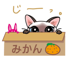 Cute Siamese cat Sticker part2 sticker #14255082