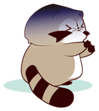 North American Raccoon (V2) sticker #14255422