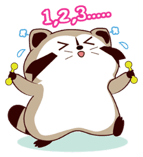 North American Raccoon (V2) sticker #14255434