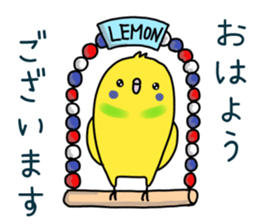 Very Very Parakeet sticker #14255599