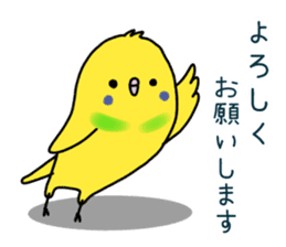 Very Very Parakeet sticker #14255605