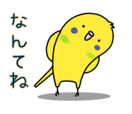 Very Very Parakeet sticker #14255610