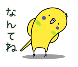 Very Very Parakeet sticker #14255610