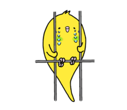 Very Very Parakeet sticker #14255621
