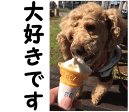 I am ToyPoodle!! sticker #14256376