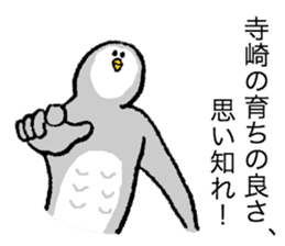 Owl's name is Terazaki sticker #14257479
