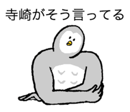 Owl's name is Terazaki sticker #14257480