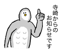 Owl's name is Terazaki sticker #14257487