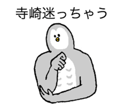 Owl's name is Terazaki sticker #14257490