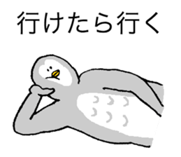 Owl's name is Terazaki sticker #14257503