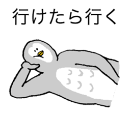 Owl's name is Terazaki sticker #14257503