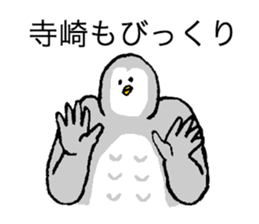 Owl's name is Terazaki sticker #14257507