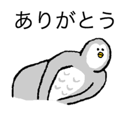 Owl's name is Terazaki sticker #14257508