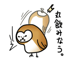 fluffy barn owl sticker #14257522