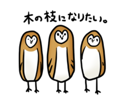 fluffy barn owl sticker #14257523