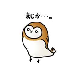 fluffy barn owl sticker #14257525