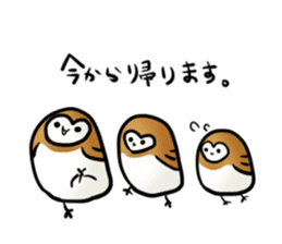 fluffy barn owl sticker #14257527