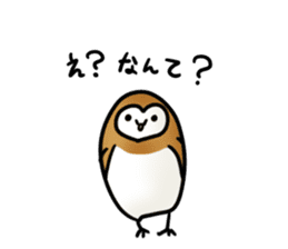 fluffy barn owl sticker #14257530