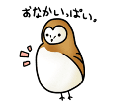 fluffy barn owl sticker #14257532