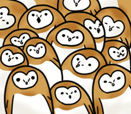 fluffy barn owl sticker #14257540