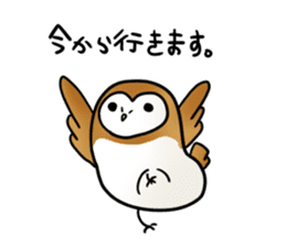 fluffy barn owl sticker #14257545