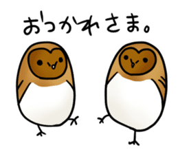 fluffy barn owl sticker #14257546