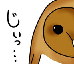 fluffy barn owl sticker #14257547