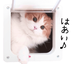 Qoo-chan3 sticker #14258006
